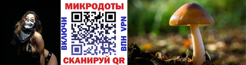 Псилоцибиновые грибы Magic Shrooms  MEGA ссылки  Белозерск 
